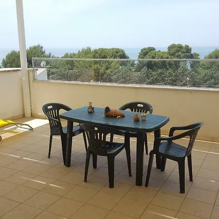Vacanza Lido Conchiglie